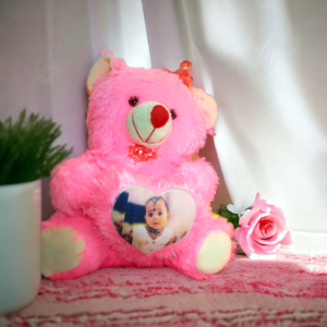 Customized Teddy Bear