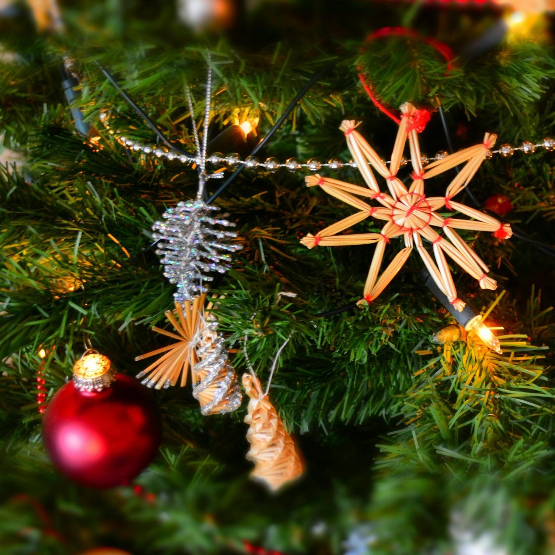 Blooming Prints Christmas